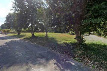 Land for sale in Choeng Doi, Chiang Mai
