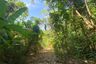 Land for sale in Karon, Phuket