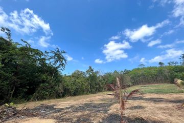 Land for sale in Lo Yung, Phang Nga