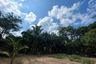 Land for sale in Lo Yung, Phang Nga