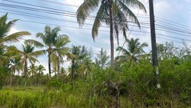 Land for sale in Khuekkhak, Phang Nga