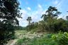 Land for sale in Khuekkhak, Phang Nga