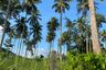 Land for sale in 