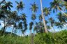 Land for sale in 