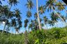 Land for sale in 