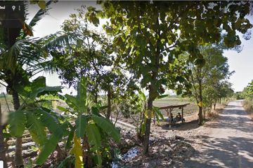 Land for sale in Buak Khang, Chiang Mai
