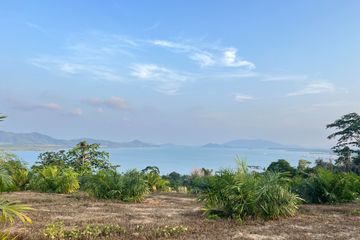 Land for sale in Lo Yung, Phang Nga