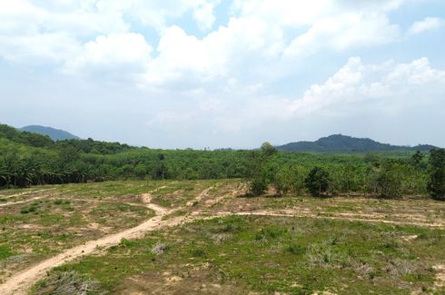 Land for sale in Tha Yu, Phang Nga