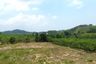 Land for sale in Tha Yu, Phang Nga
