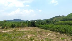 Land for sale in Tha Yu, Phang Nga