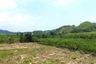Land for sale in Tha Yu, Phang Nga