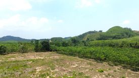 Land for sale in Tha Yu, Phang Nga