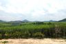 Land for sale in Tha Yu, Phang Nga