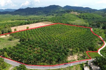 Land for sale in Bang Muang, Phang Nga