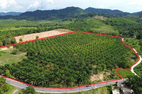 Land for sale in Bang Muang, Phang Nga