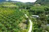 Land for sale in Bang Muang, Phang Nga