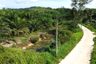 Land for sale in Bang Muang, Phang Nga