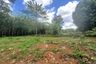 Land for sale in Nong Thale, Krabi