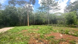 Land for sale in Nong Thale, Krabi