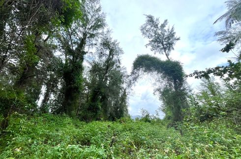 Land for sale in Khuekkhak, Phang Nga