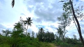 Land for sale in Khuekkhak, Phang Nga