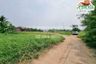 Land for sale in Chum Het, Buriram