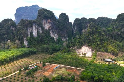 Land for sale in Khao Thong, Krabi