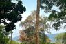 Land for sale in Khok Kloi, Phang Nga