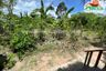 Land for sale in Wang Phong, Prachuap Khiri Khan