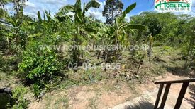 Land for sale in Wang Phong, Prachuap Khiri Khan