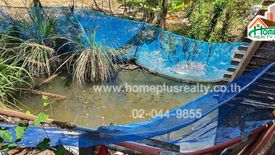 Land for sale in Wang Phong, Prachuap Khiri Khan