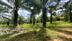 Land for sale in Nong Thale, Krabi