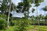 Land for sale in Thai Mueang, Phang Nga