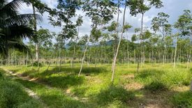 Land for sale in Thai Mueang, Phang Nga