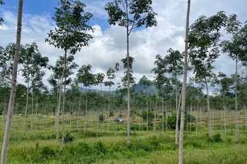 Land for sale in Thai Mueang, Phang Nga
