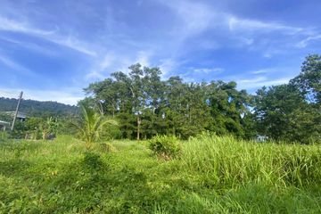 Land for sale in Thep Krasatti, Phuket