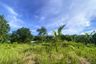 Land for sale in Thep Krasatti, Phuket