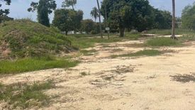 Land for sale in Nong Prue, Chonburi