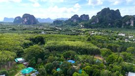 7 Bedroom Commercial for Sale or Rent in Ao Nang, Krabi