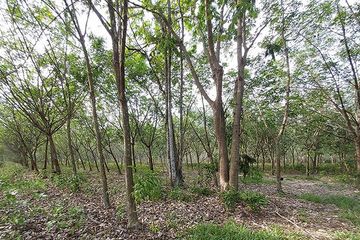 Land for sale in Chak Don, Rayong