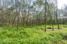 Land for sale in Thep Krasatti, Phuket
