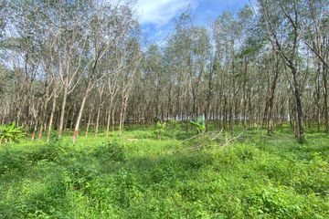 Land for sale in Thep Krasatti, Phuket