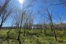 Land for sale in 