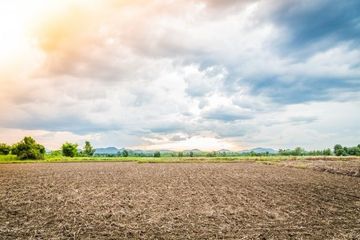 Land for sale in Si Sunthon, Phuket