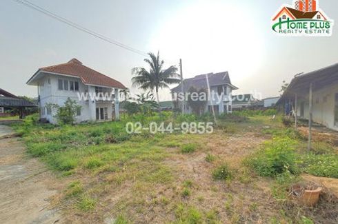 Land for sale in San Phak Wan, Chiang Mai