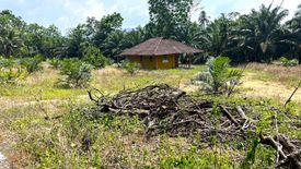 Land for sale in Thai Mueang, Phang Nga