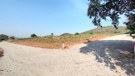 Land for sale in Wang Phong, Prachuap Khiri Khan