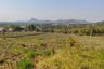 Land for sale in Wang Phong, Prachuap Khiri Khan