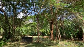 Land for sale in Mae Hia, Chiang Mai