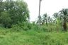 Land for sale in Lamet, Surat Thani